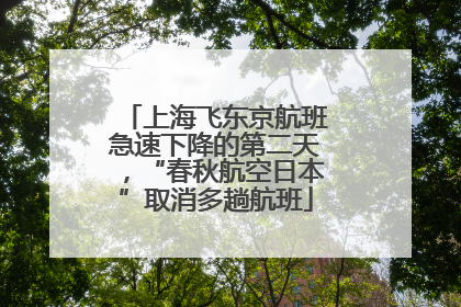 上海飞东京航班急速下降的第二天，“春秋航空日本”取消多趟航班