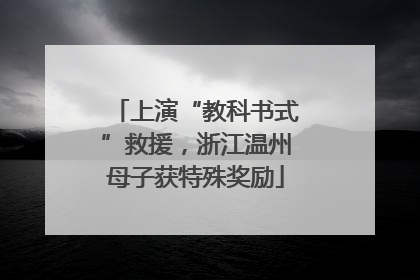 上演“教科书式”救援，浙江温州母子获特殊奖励