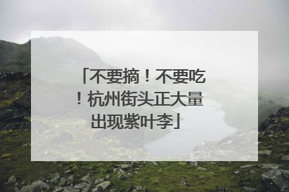 不要摘！不要吃！杭州街头正大量出现紫叶李