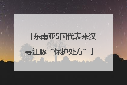 东南亚5国代表来汉寻江豚“保护处方”
