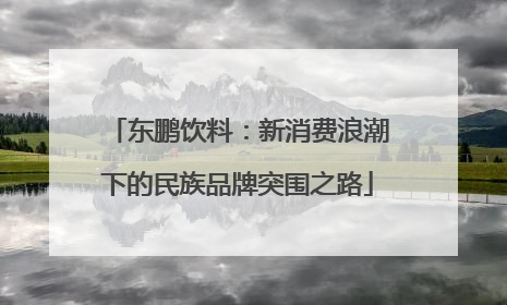 东鹏饮料：新消费浪潮下的民族品牌突围之路