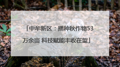 中牟新区：播种秋作物53万余亩 科技赋能丰收在望
