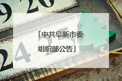 中共阜新市委组织部公告