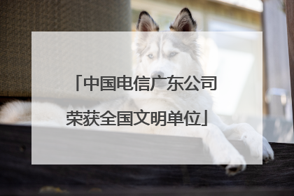 中国电信广东公司荣获全国文明单位