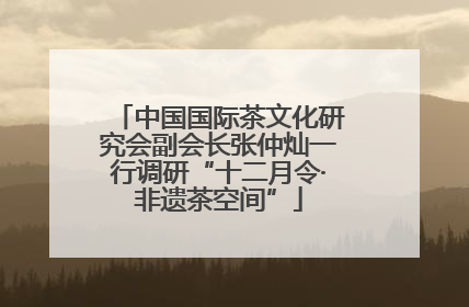 中国国际茶文化研究会副会长张仲灿一行调研“十二月令·非遗茶空间”