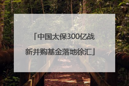 中国太保300亿战新并购基金落地徐汇