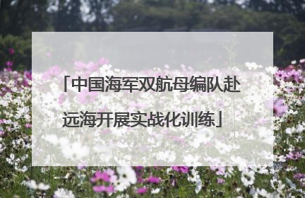 中国海军双航母编队赴远海开展实战化训练