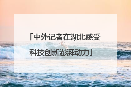 中外记者在湖北感受科技创新澎湃动力
