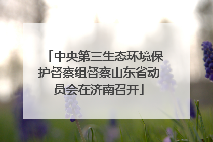 中央第三生态环境保护督察组督察山东省动员会在济南召开