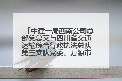 中建一局西南公司总部党总支与四川省交通运输综合行政执法总队第三支队党委、万源市草坝镇莲花院村党支部开展党建联建