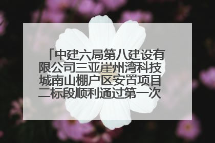 中建六局第八建设有限公司三亚崖州湾科技城南山棚户区安置项目二标段顺利通过第一次主体结构验收