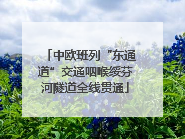 中欧班列“东通道”交通咽喉绥芬河隧道全线贯通