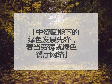 中资赋能下的绿色发展先锋，麦当劳铸就绿色餐厅网络