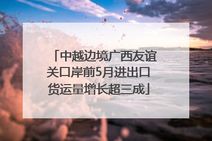 中越边境广西友谊关口岸前5月进出口货运量增长超三成