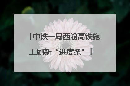 中铁一局西渝高铁施工刷新“进度条”