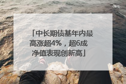 中长期债基年内最高涨超4%，超6成净值表现创新高