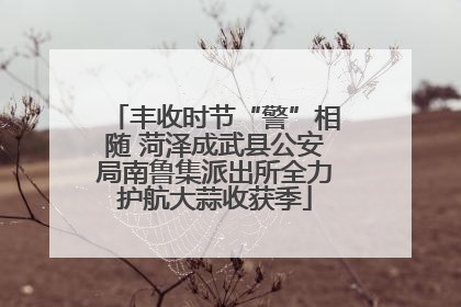 丰收时节“警”相随 菏泽成武县公安局南鲁集派出所全力护航大蒜收获季
