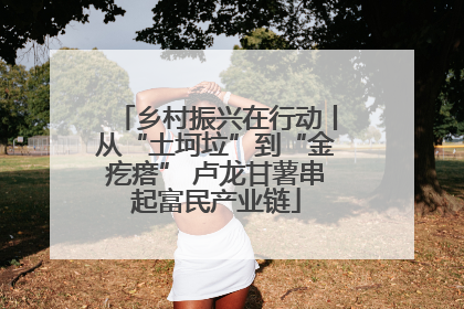 乡村振兴在行动丨从“土坷垃”到“金疙瘩” 卢龙甘薯串起富民产业链
