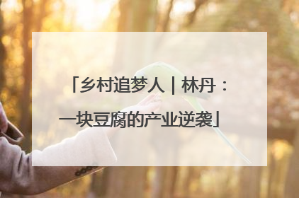 乡村追梦人｜林丹：一块豆腐的产业逆袭