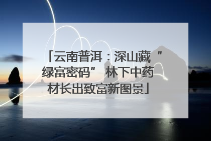 云南普洱：深山藏“绿富密码” 林下中药材长出致富新图景