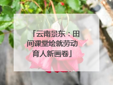 云南景东：田间课堂绘就劳动育人新画卷