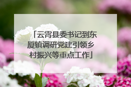 云霄县委书记到东厦镇调研党建引领乡村振兴等重点工作