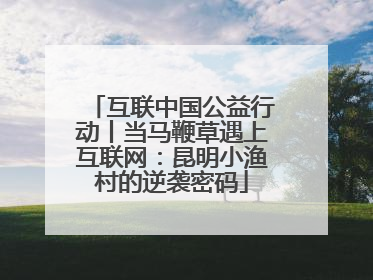 互联中国公益行动丨当马鞭草遇上互联网：昆明小渔村的逆袭密码