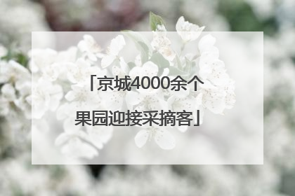 京城4000余个果园迎接采摘客