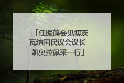 任振鹤会见博茨瓦纳国民议会议长凯奥拉佩采一行