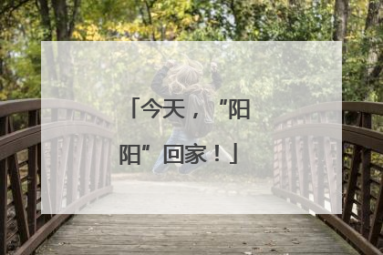 今天，“阳阳”回家！