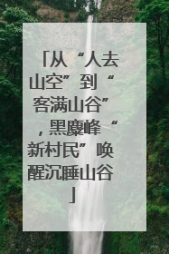 从“人去山空”到“客满山谷”，黑麋峰“新村民”唤醒沉睡山谷