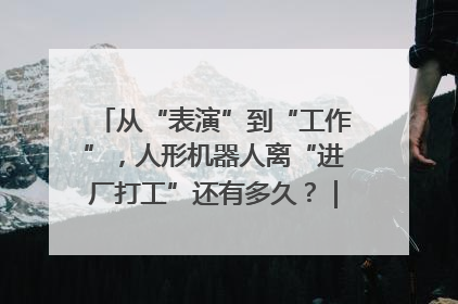 从“表演”到“工作”，人形机器人离“进厂打工”还有多久？｜机器人商业新纪元