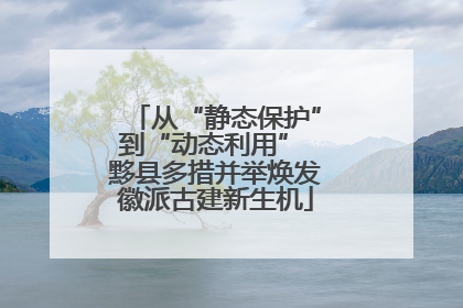 从“静态保护”到“动态利用” 黟县多措并举焕发徽派古建新生机