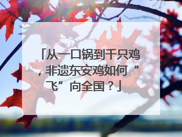 从一口锅到千只鸡，非遗东安鸡如何“飞”向全国？