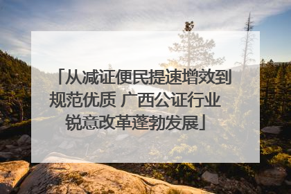 从减证便民提速增效到规范优质 广西公证行业锐意改革蓬勃发展
