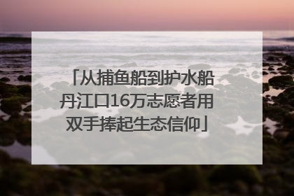从捕鱼船到护水船 丹江口16万志愿者用双手捧起生态信仰
