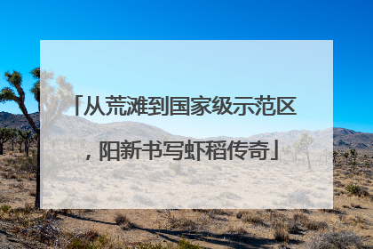从荒滩到国家级示范区，阳新书写虾稻传奇