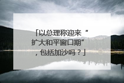以总理称迎来“扩大和平窗口期”，包括加沙吗？