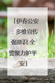伊春公安：多维宣传强意识 全警聚力护平安