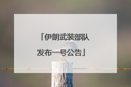 伊朗武装部队发布一号公告