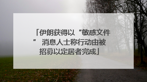 伊朗获得以“敏感文件” 消息人士称行动由被招募以定居者完成