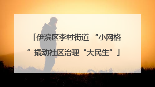 伊滨区李村街道 “小网格”撬动社区治理“大民生”