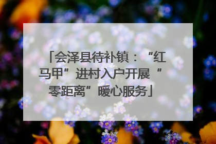 会泽县待补镇：“红马甲”进村入户开展“零距离”暖心服务
