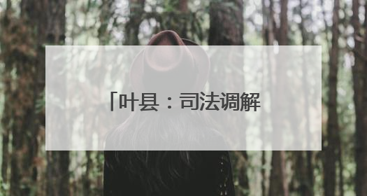 叶县：司法调解“搭桥” 稳企护商“路宽”