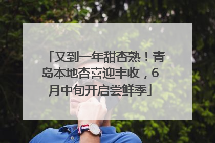 又到一年甜杏熟！青岛本地杏喜迎丰收，6月中旬开启尝鲜季