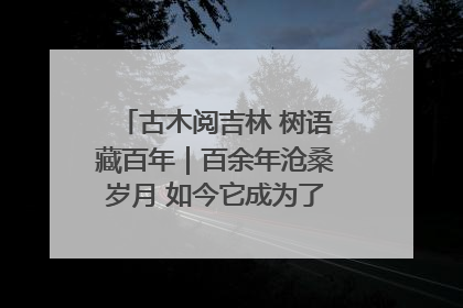 古木阅吉林 树语藏百年｜百余年沧桑岁月 如今它成为了“镇园之宝”