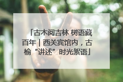 古木阅吉林 树语藏百年｜西关宾馆内，古榆“讲述”时光絮语