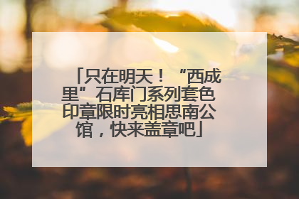 只在明天！“西成里”石库门系列套色印章限时亮相思南公馆，快来盖章吧