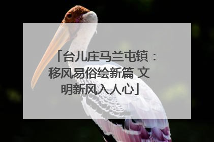 台儿庄马兰屯镇：移风易俗绘新篇 文明新风入人心