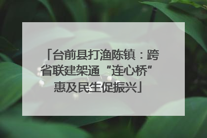 台前县打渔陈镇：跨省联建架通“连心桥” 惠及民生促振兴